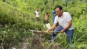 Nông nghiệp 7 tháng: lúa giảm diện tích, thủy sản và lâm nghiệp tăng