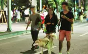 Phạt tới 2 triệu đồng nếu không rọ mõm chó nơi công cộng