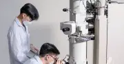 Thành lập mạng lưới chuyên gia AI Việt Nam toàn cầu