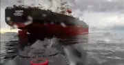 Ukraine đánh chìm tàu container Nga ở biển Đen