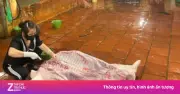 Xử lý 2 cơ sở giết mổ gia súc trái quy định tại Yên Lãng